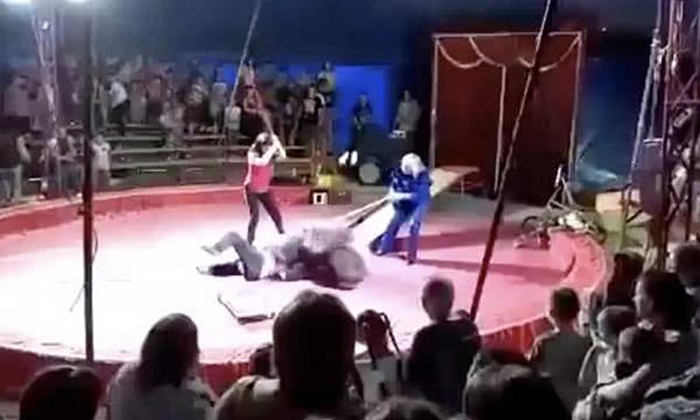 คนดูสยอง หมีคณะละครสัตว์รัสเซียโมโห ขย้ำคนฝึกกลางเวทีแสดง
