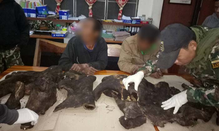 สองพรานแสบซิ่งจักรยานยนต์ชนเจ้าหน้าที่อุทยานเจ็บ สุดท้ายหนีไม่รอด ถูกรวบพร้อมซากสัตว์ป่า