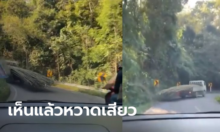 ชาวเน็ตโพสต์คลิป รถบรรทุกไม้ขึ้นม่อนแจ่ม สุดหวาดเสียว หวั่นเกิดอันตราย (คลิป)