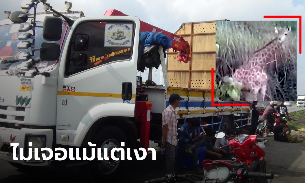 ยีราฟหายไร้ร่องรอย ระดมค้นหาทั้งภาคพื้นและทางอากาศ ยังไม่เจอแม้แต่รอยเท้า