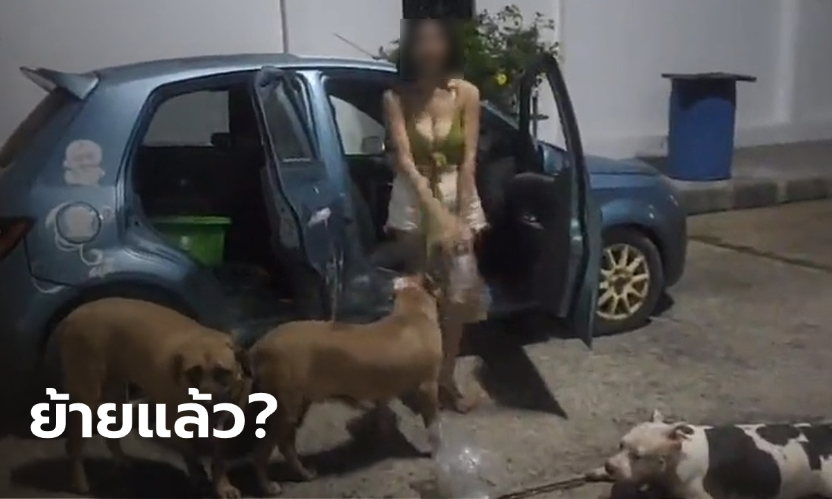 เจ้าของสุนัขพิทบูลเครียดจัด! พาหมา 3 ตัว ขับรถหาบ้านเช่าจนน้ำมันหมด