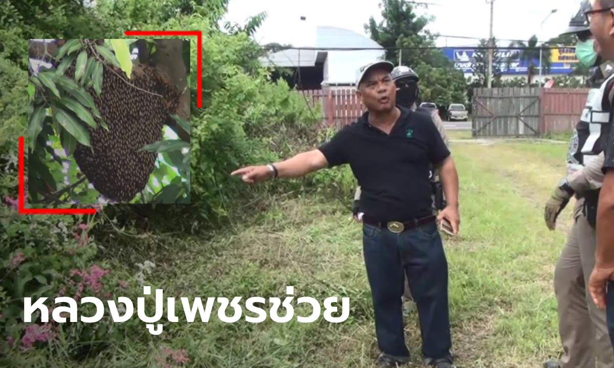 สารวัตรเจอฝูงผึ้งหลวงไล่ต่อย วิ่งหนียังไม่พ้น สุดท้ายท่องคาถาหลวงปู่เพชรถึงรอด