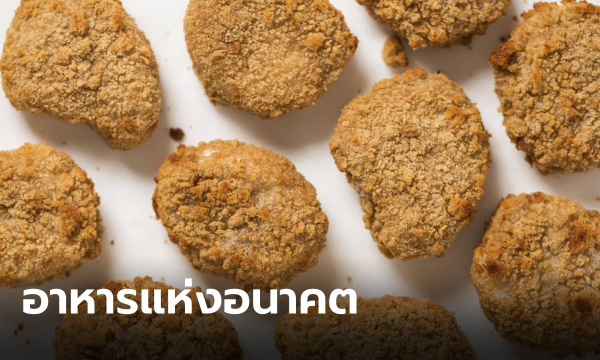 สิงคโปร์ไฟเขียวขาย “เนื้อไก่เพาะเลี้ยง” ประเทศแรกในโลก