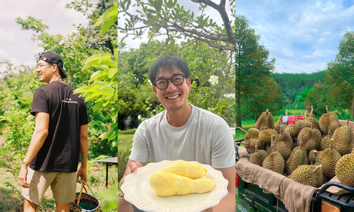 สวนทุเรียนของ "เวียร์ ศุกลวัฒน์" ผลผลิตอลังการมาก สมฉายาเศรษฐีที่ดินจริงๆ