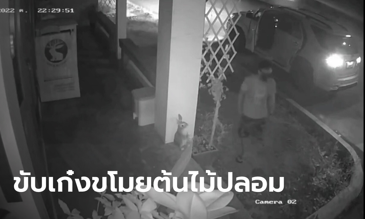 วงจรปิดจับภาพโจรเลิ่กลั่ก ย่องขโมยต้นไม้ เจ้าของฝากบอกไม่ต้องรดน้ำ นั่นของปลอม