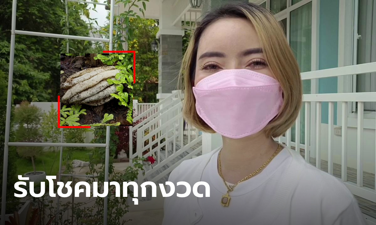 สาวช่างแต่งหน้า ถูกหวยทุกงวดมา 6 เดือนแล้ว หลังเห็ดมือผีขึ้นในบ้าน เชื่อมาให้โชค