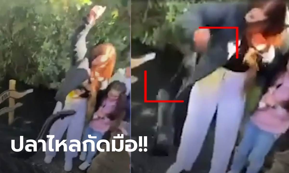 คลิปตะลึง สาวล้วงมือถือในบ่อปลาไหล เจอเจ้าถิ่นตัวเบ้อเร่อโผล่ทวง ตามกัดไม่ปล่อยถึงบนบก