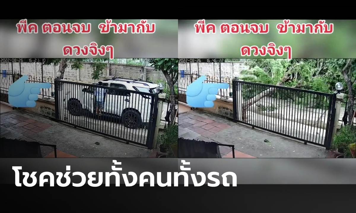 ลมลูกใหญ่พัดต้นไม้ล้มตึง พ่อลูกมากับดวงรอดหวุดหวิด เจ้าตัวเผยคลิปบอกพีคมาก!