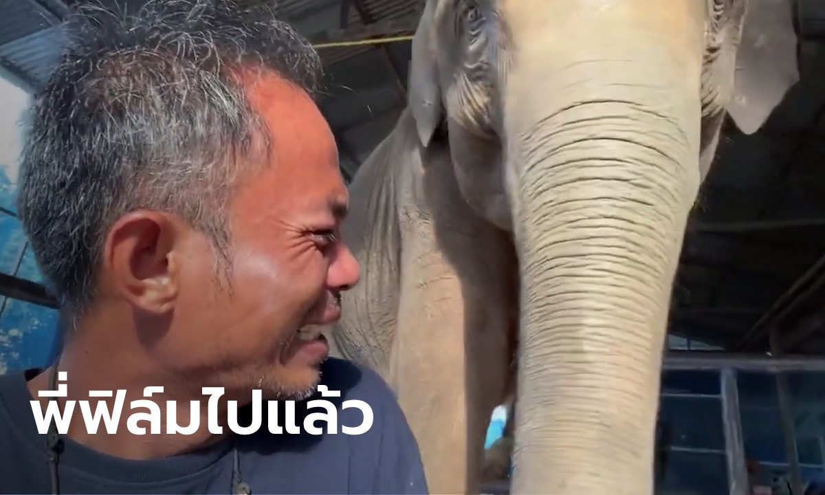 บีบหัวใจ งานศพ "น้องฟิล์ม" ยูทูบเบอร์ดัง พ่อร่ำไห้บอกข่าวร้าย "สุพรรษา" ช้างคู่หูลูก