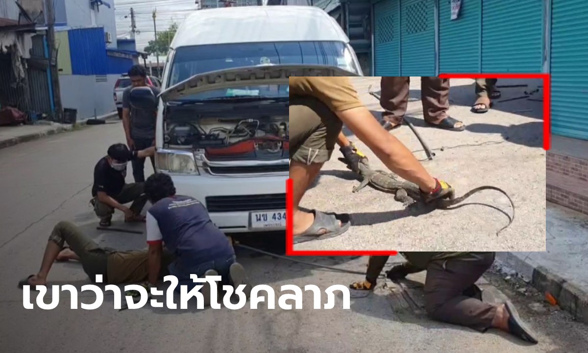 คอหวยรีบเลย!  หนุ่มจอดแวะกินข้าว "ตัวเงินตัวทอง" วิ่งมุดเข้ารถ เพิ่งต่อทะเบียนหมาดๆ