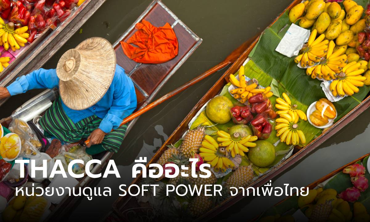 THACCA คืออะไร ว่าด้วยหน่วยงานดูแล SOFT POWER ของ \