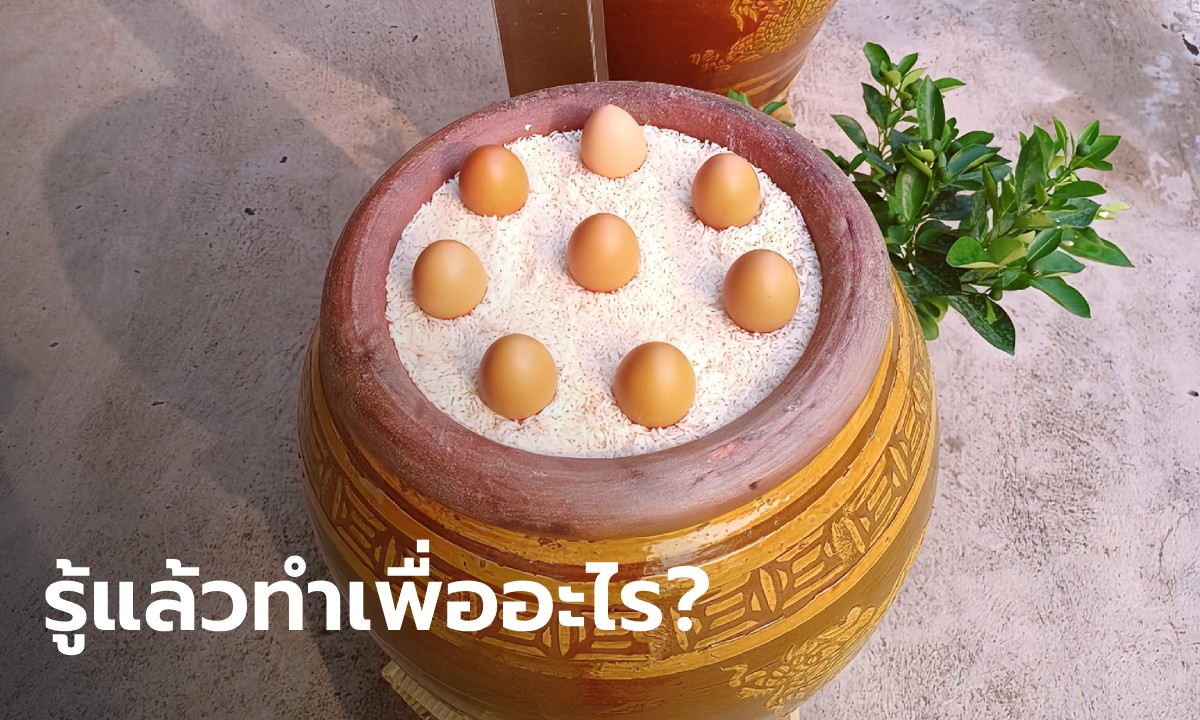 ร้านข้าวแกงเอาข้าวมาใส่โอ่ง ตั้งไข่ 8 ฟอง สงสัยทำเพื่ออะไร ที่แท้สายมูเขารู้กัน