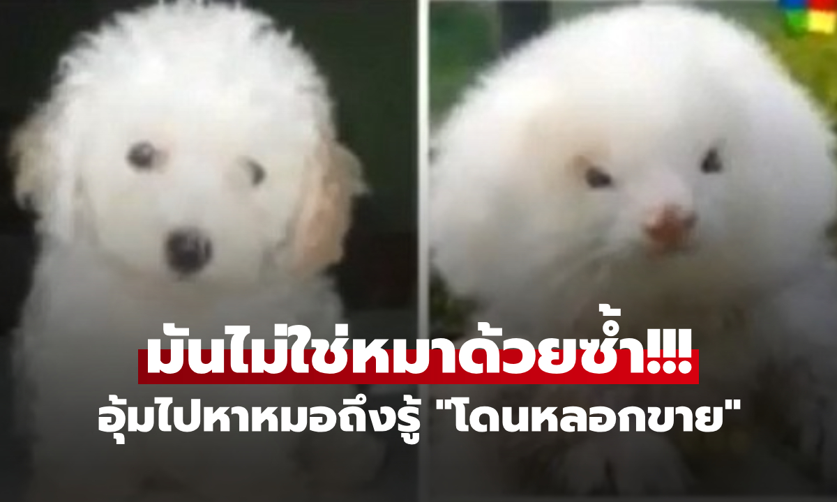 หนุ่มช็อก ควักเงิน 5,500 บาท ซื้อ \