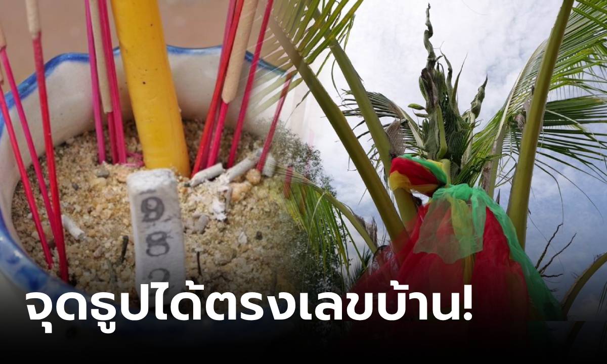 ฮือฮา! มะพร้าวแตกยอดพญานาค 5 เศียร จุดธูปได้ตรงกับเลขที่บ้าน เชื่อพ่อปู่ฯ ให้โชคงวดนี้