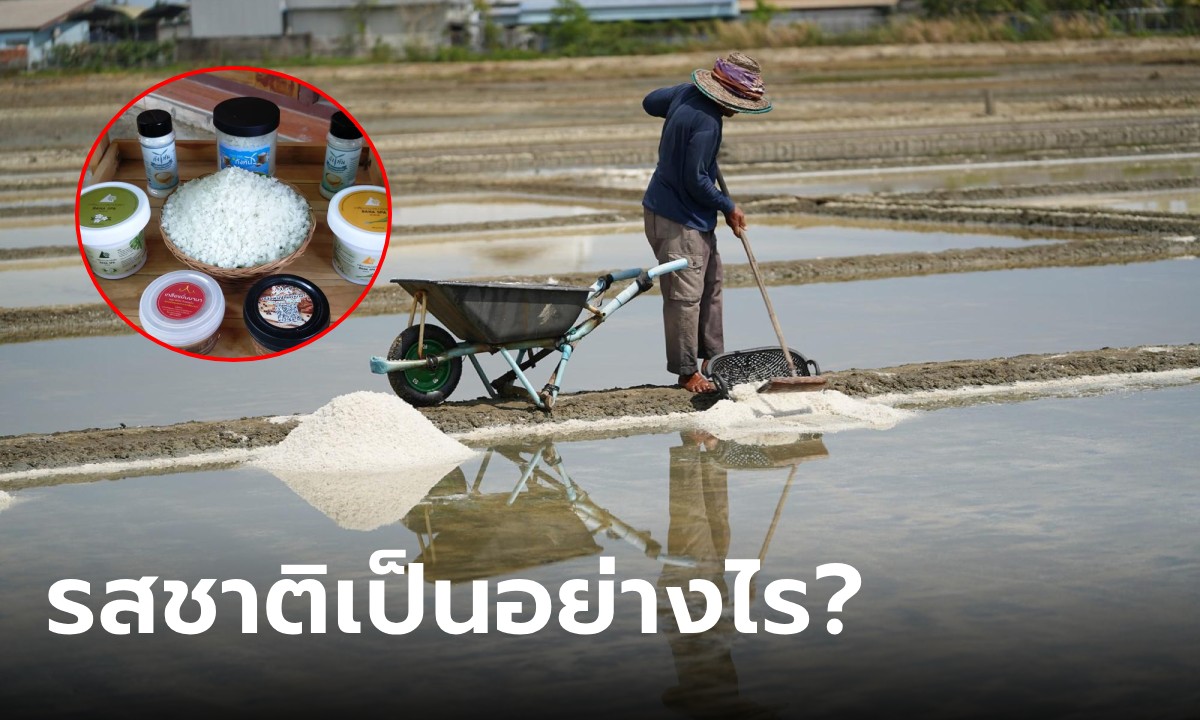 รู้จัก “เกลือหวานปัตตานี” คุณภาพเกือบเท่าอิตาลี ไทยเตรียมเสนอเป็นมรดกโลก