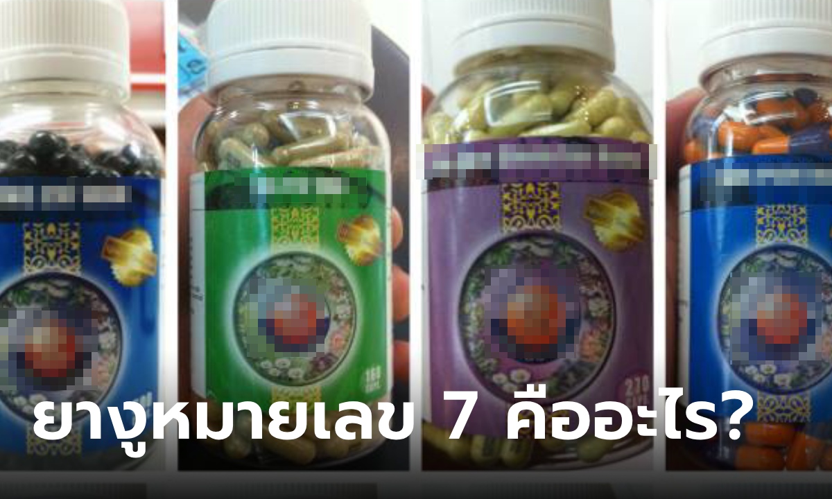 ยางูหมายเลข 7 คืออะไร? ไกด์เวียดนามเผย 1 ใน 6 ผู้เสียชีวิต สั่งให้ไปซื้อก่อนถูกฆ่าตาย
