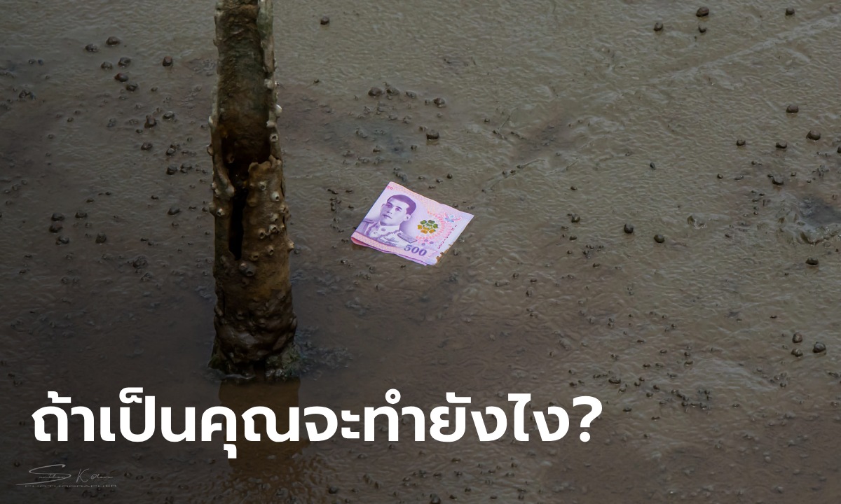 บททดสอบจิตใจ เจอแบงก์ 500 บนป่าชายเลน จะลงไปเก็บไหม? เฉลยเงินนี้ของใคร