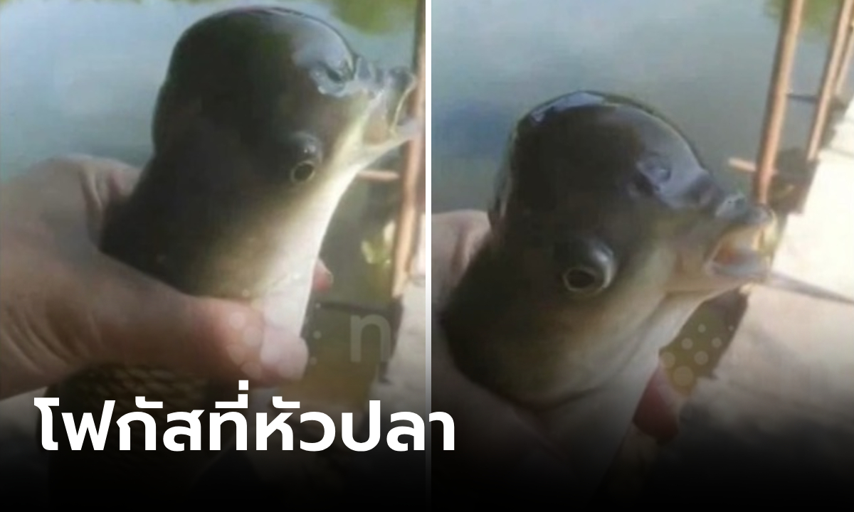 หนุ่มตะลึงตกได้ \