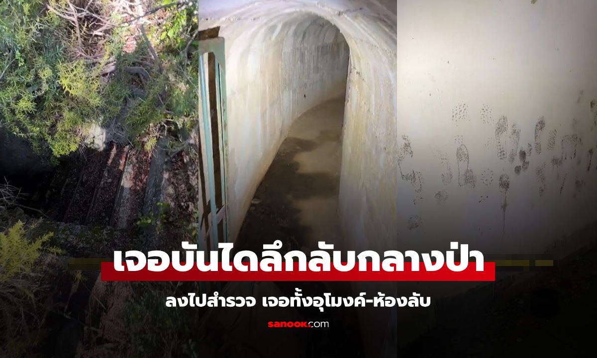 คลิป 18 ล้านวิว! เดินลงบันไดลึกลับกลางป่า เจออุโมงค์-ห้องลับ ตอนจบสุดหลอน