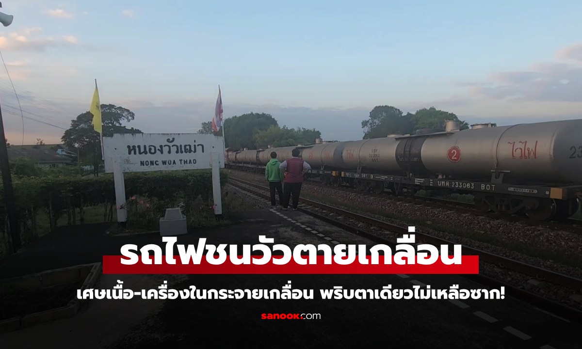 ขบวนรถไฟพุ่งชนวัวตาย 6 ตัว เศษเนื้อ-เครื่องในกระจายเกลื่อน พริบตาเดียวไม่เหลือซาก!