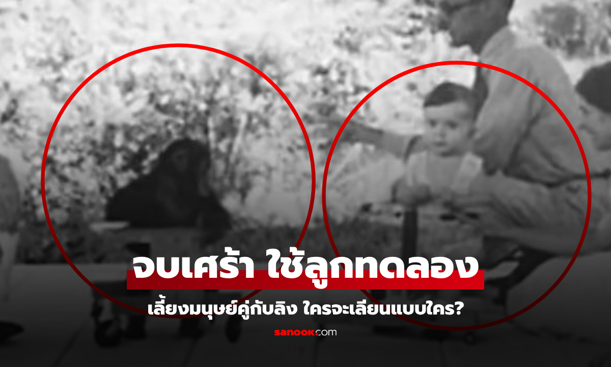 โศกนาฏกรรม นักจิตวิทยาทดลอง \