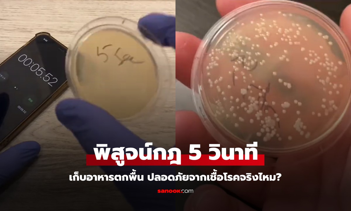 นักจุลชีววิทยาพิสูจน์ชัดๆ "กฎ 5 วินาที" เก็บอาหารตกพื้น ปลอดภัยจากเชื้อโรคจริงไหม?