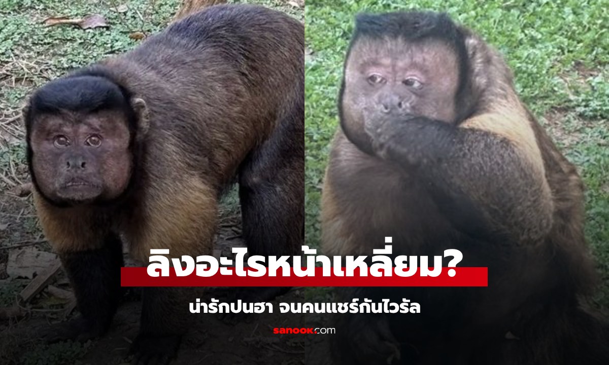 ไอ้ต้าว \