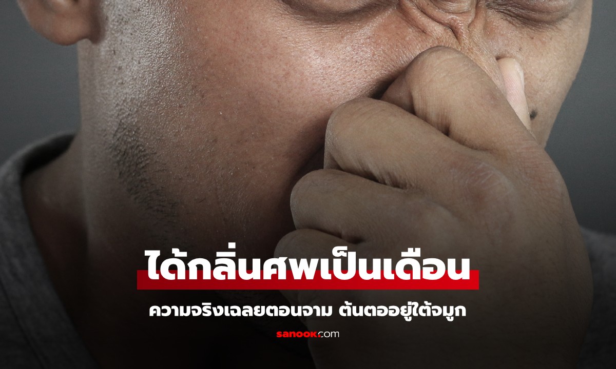 เจ้าหน้าที่ป่าไม้ "ได้กลิ่นศพ" นานหลายเดือน นึกว่าซากสัตว์ ความจริงเฉลยตอนจาม