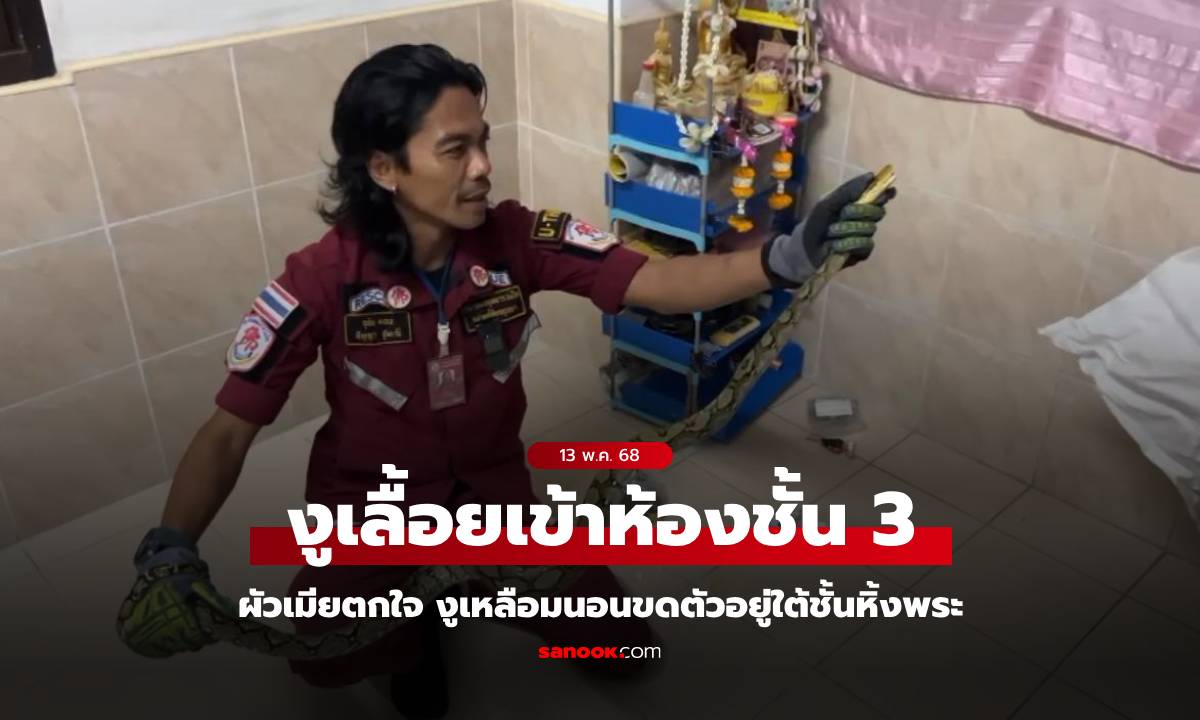 ผัวเมียเกือบช็อก! "งูเหลือม" เลื้อยขึ้นชั้น 3 มานอนข้างที่นอน ส่องเลขห้อง 3 ตัว