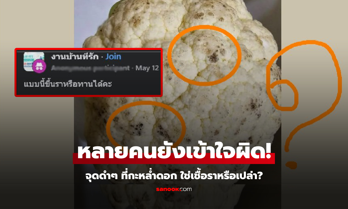อ.เจษฎ์ เฉลยให้จบ "กะหล่ำดอก" มีจุดดำๆ ทำโซเชียลเสียงแตก ถกสนั่นใช่เชื้อราไหม?!