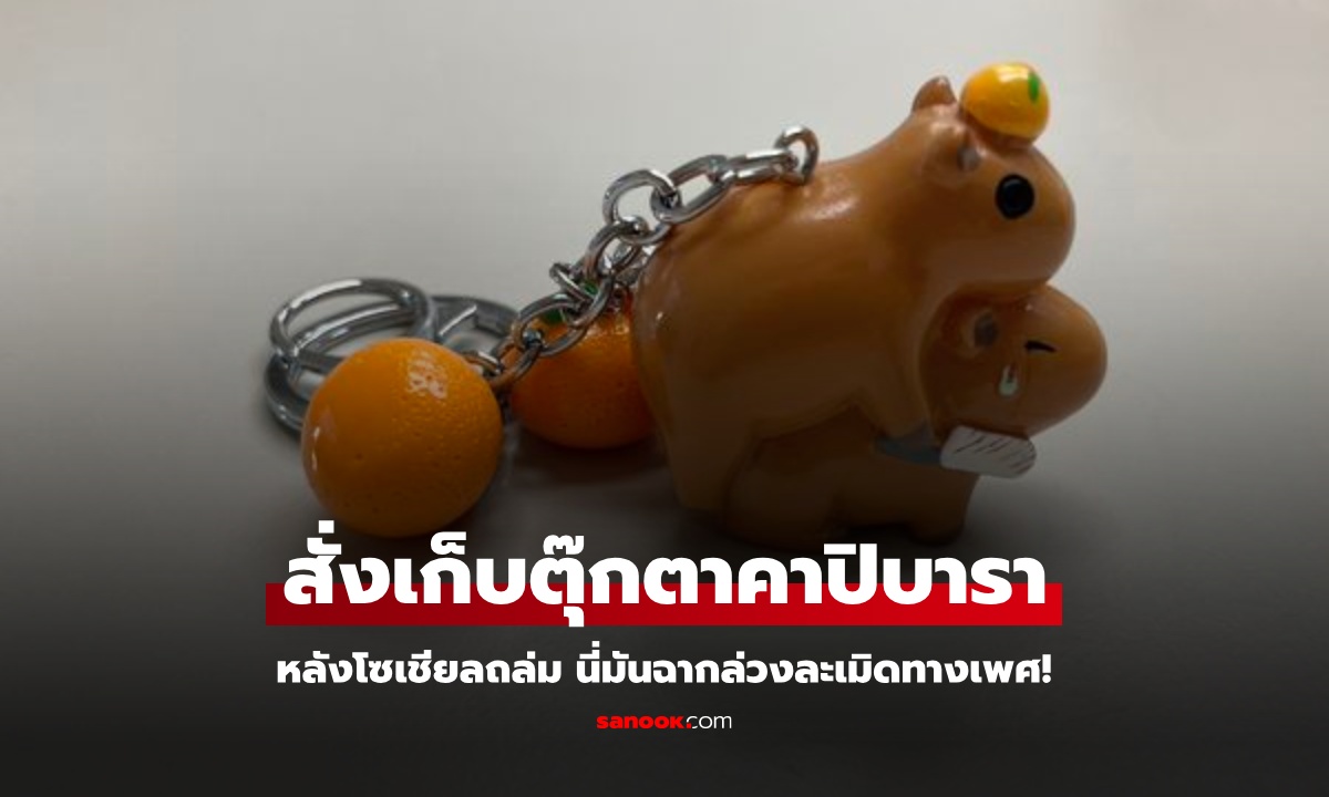 พิพิธภัณฑ์สั่งเก็บ ตุ๊กตาคาปิบารา หลังโซเชียลถล่ม นี่มันฉากล่วงละเมิดทางเพศ!