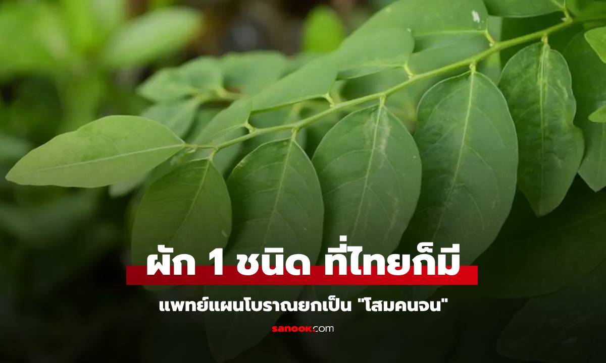 ที่ไทยก็มี! ผัก 1 ชนิด มีธาตุเหล็กมากกว่าเนื้อวัว แพทย์แผนโบราณยกเป็น \