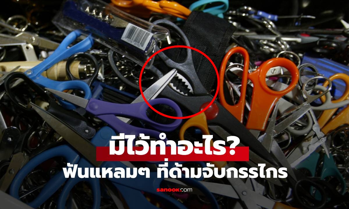 ไขข้อสงสัย ฟันหยักๆ ที่ด้ามจับกรรไกร มีไว้ทำอะไร? ทำไมบางเล่มมี บางเล่มไม่มี