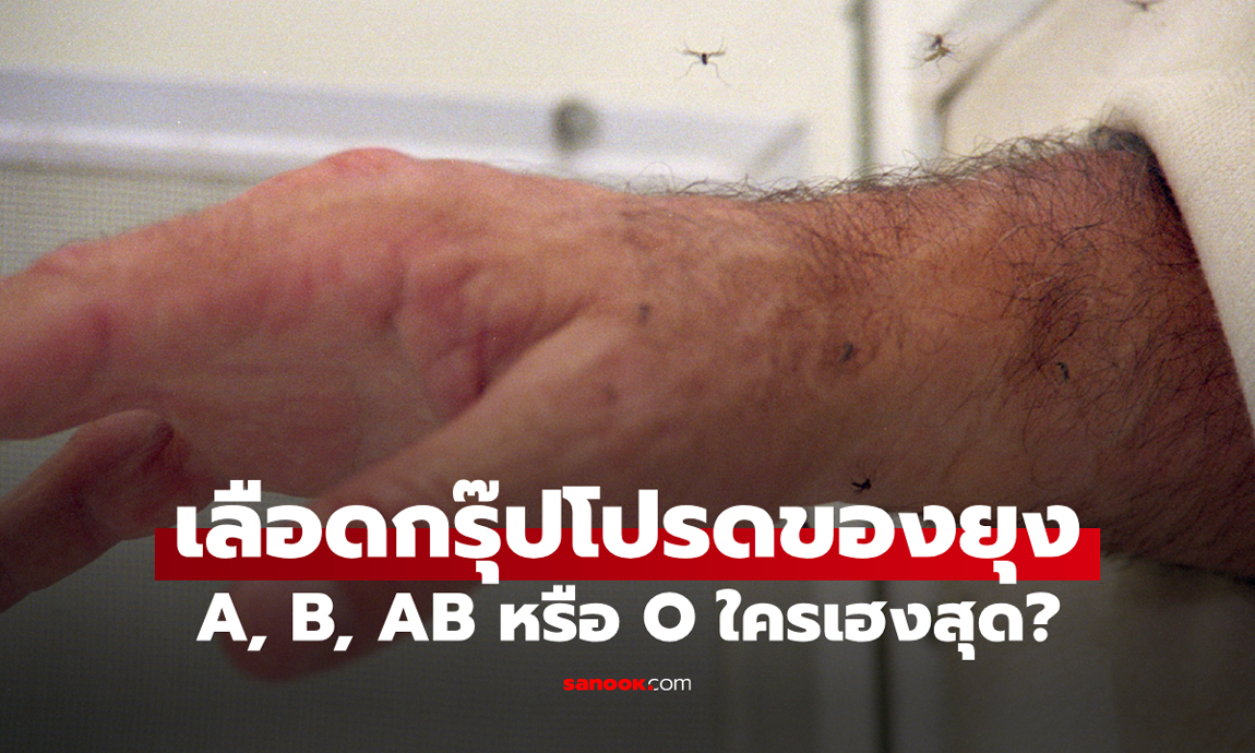 เฉลยแล้ว: ยุงชอบกัดคนที่มีเลือดกรุ๊ปอะไรมากที่สุด? และเพราะอะไรถึงเป็นกรุ๊ปนี้?