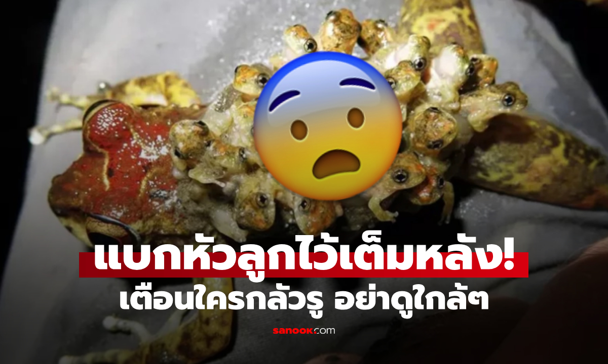 ไม่ได้เจอง่ายๆ สัตว์หายาก \