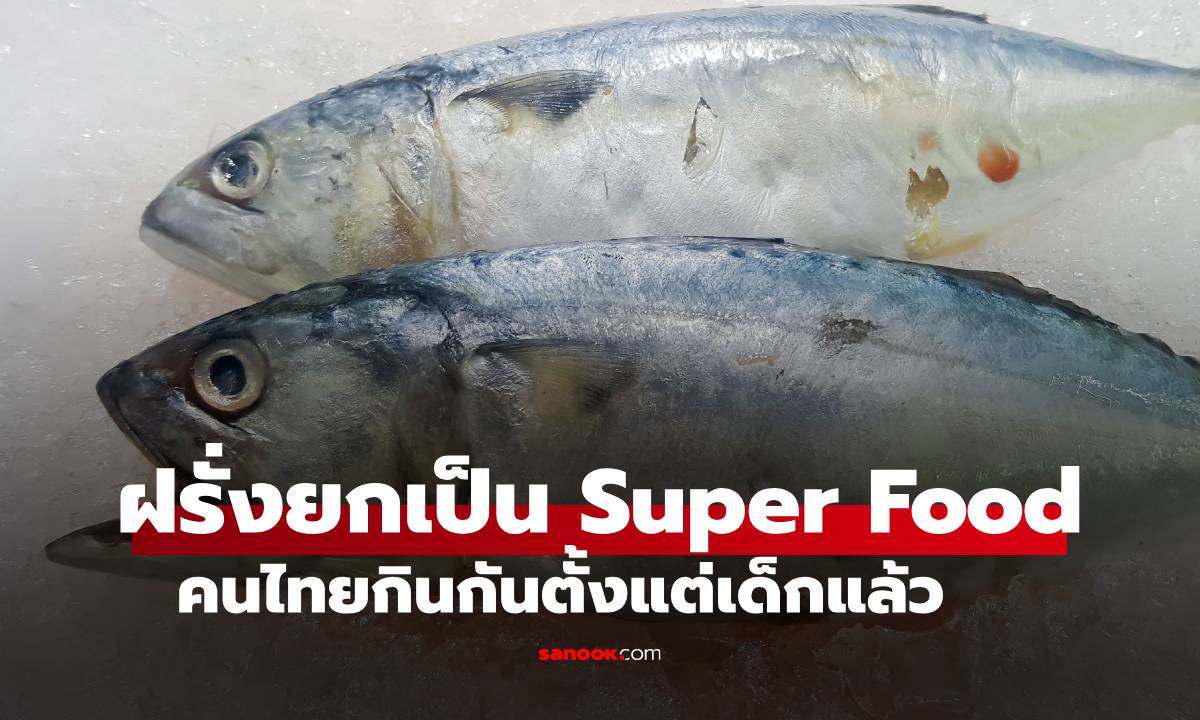 สุดยอด \'ปลาไทย\' ฝรั่งยกให้เป็น Super Food คุณค่าอาหารสูงมาก บ้านเราหากินโคตรง่าย
