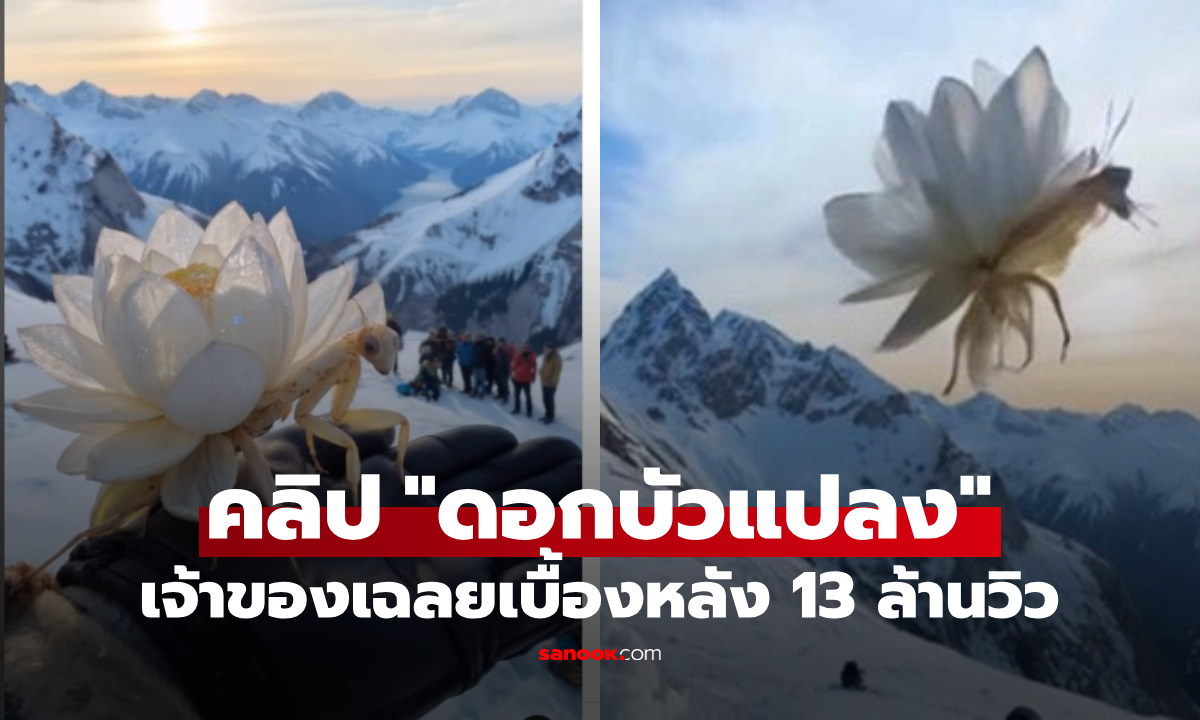 13 ล้านคนตะลึง \