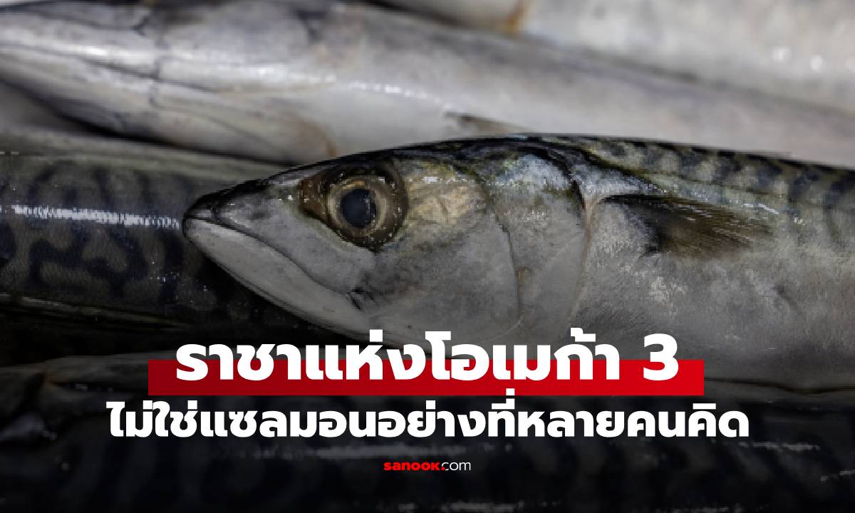 ไม่ใช่แซลมอน! \