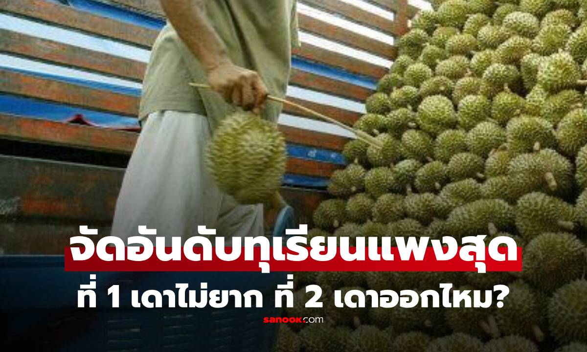 จัดอันดับ \