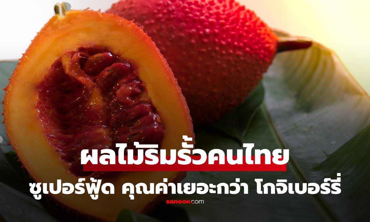 โกจิเบอร์รี่ยังสู้ไม่ได้!  "ผลไม้" ริมรั้วคนไทย ซูเปอร์ฟู้ดที่ประโยชน์สูง ไม่ต้องนำเข้า