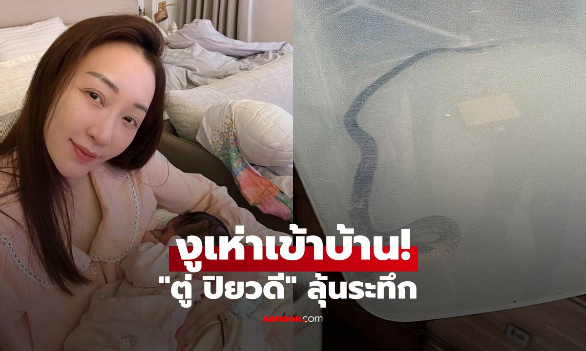 งูเห่าเข้าบ้าน! \
