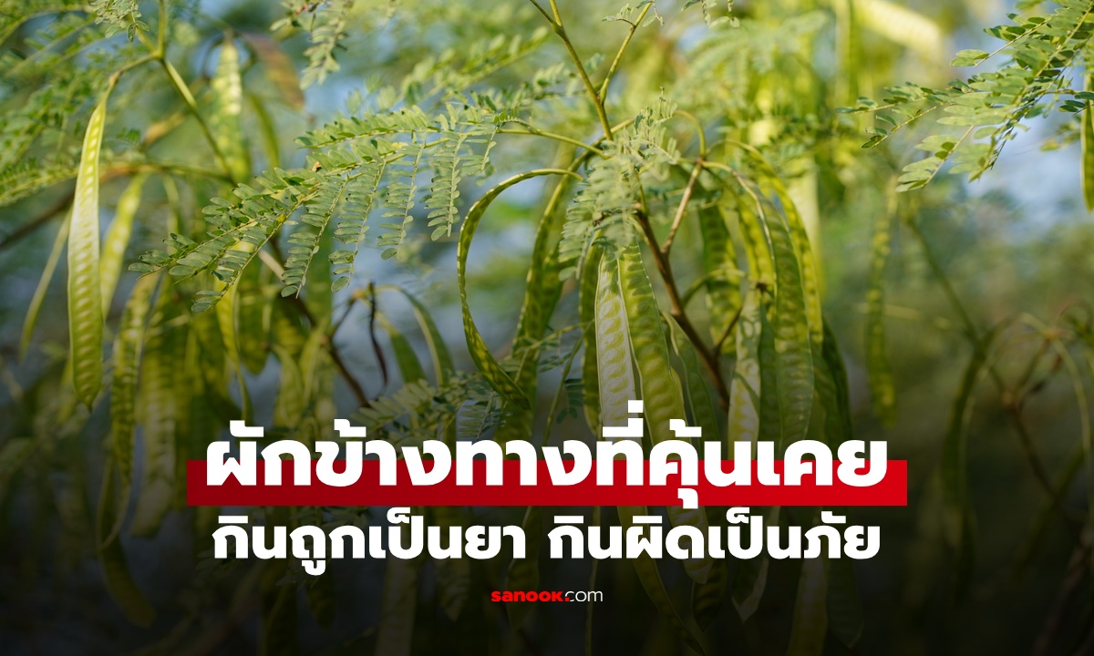 เตือนก่อนกิน "ผักข้างทาง" พืชจากแดนไกลที่คนไทยคุ้นเคย กินถูกเป็นยา กินผิดเป็นภัย