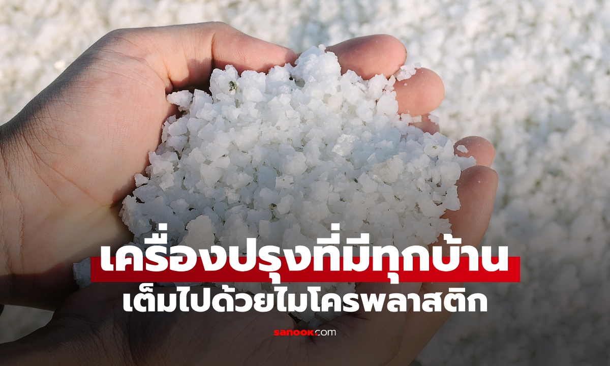 ภัยเงียบ \