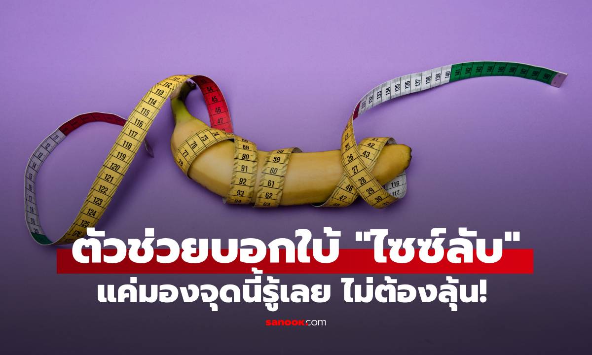 หมอเปิดผลวิจัย อวัยวะบางอย่าง อาจบอกใบ้ถึงขนาด \