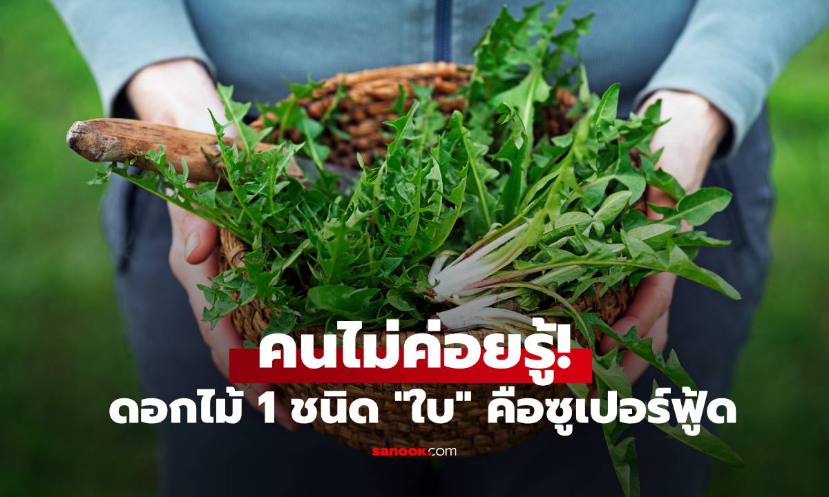 คนไม่ค่อยรู้! ดอกไม้ 1 ชนิด ส่วน \