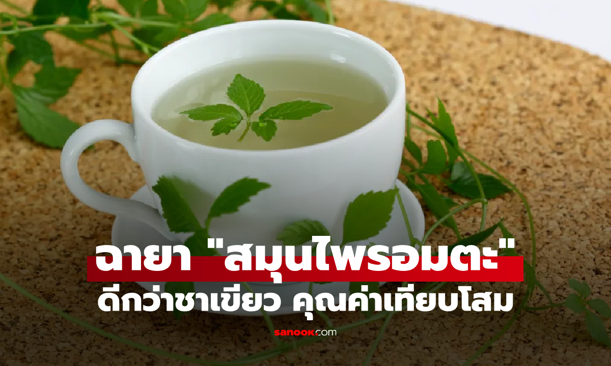 อเมริกาอวย \