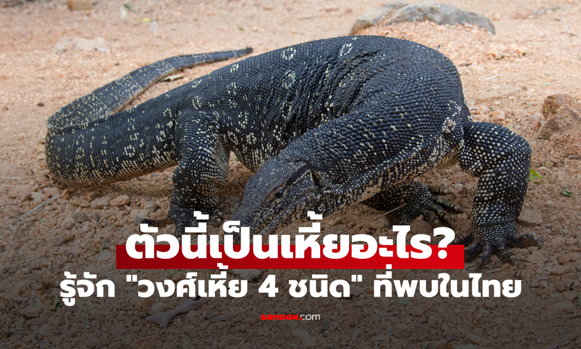 รู้จักกับ \
