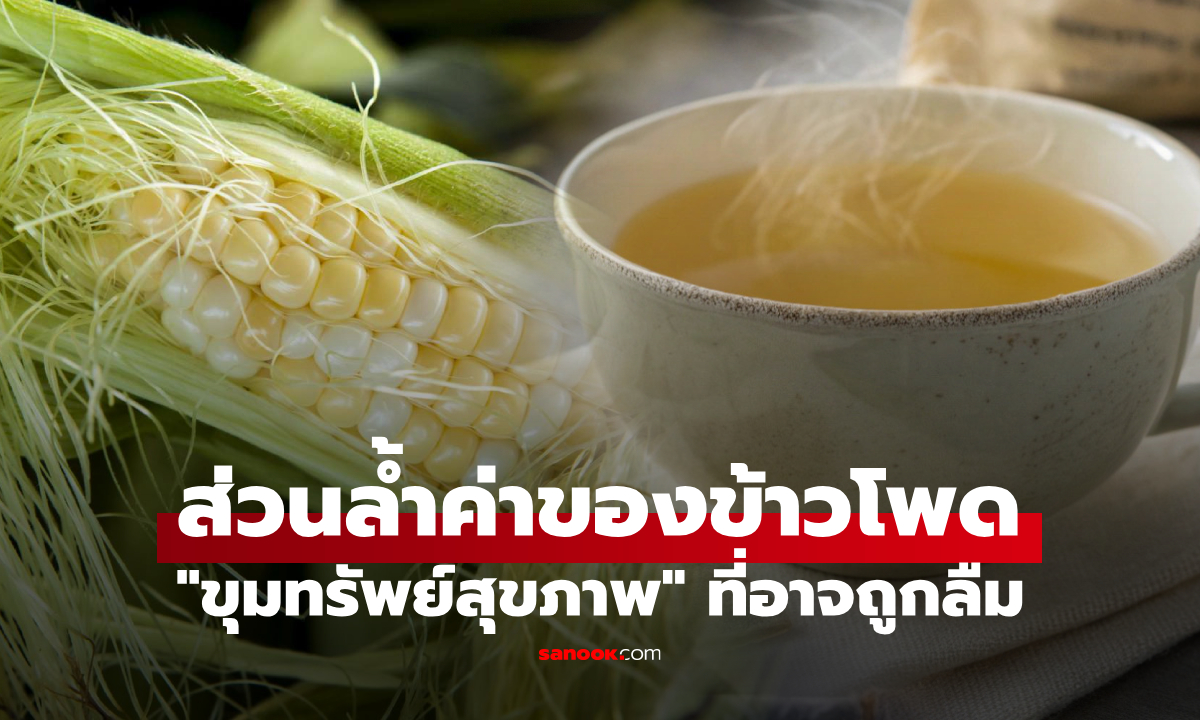 ส่วนล้ำค่าของข้าวโพด จีนอวยเป็น "ขุมทรัพย์" ช่วยกรองไขมันในเลือด คุมความดันและน้ำตาล!