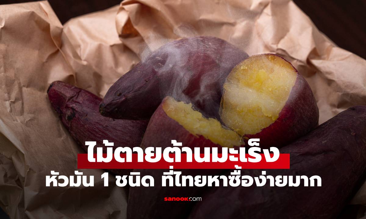หัวมัน 1 ชนิด กลายเป็น \