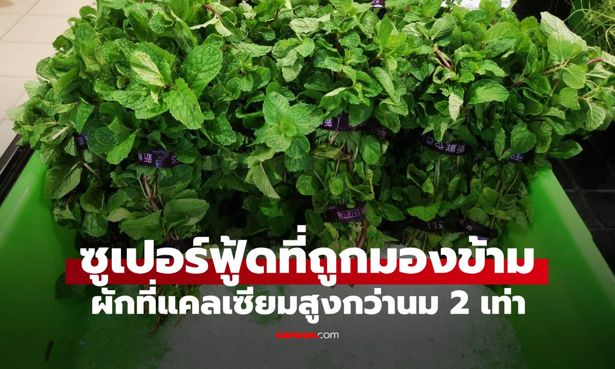 ผัก 1 ชนิด แคลเซียมสูงกว่านม 2 เท่า \